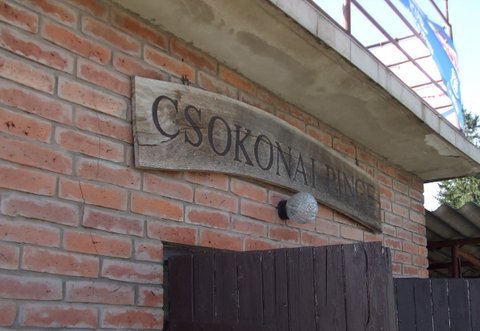 Csokonai Udvar